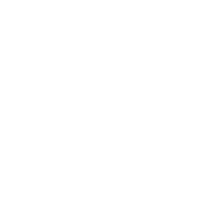 AMINO ACIDS Icon
